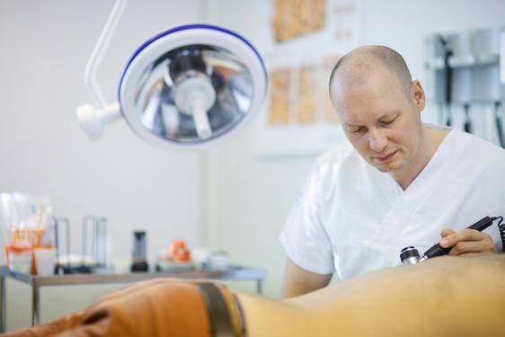 Marcus Schmitt-Egenolf, Umeå University