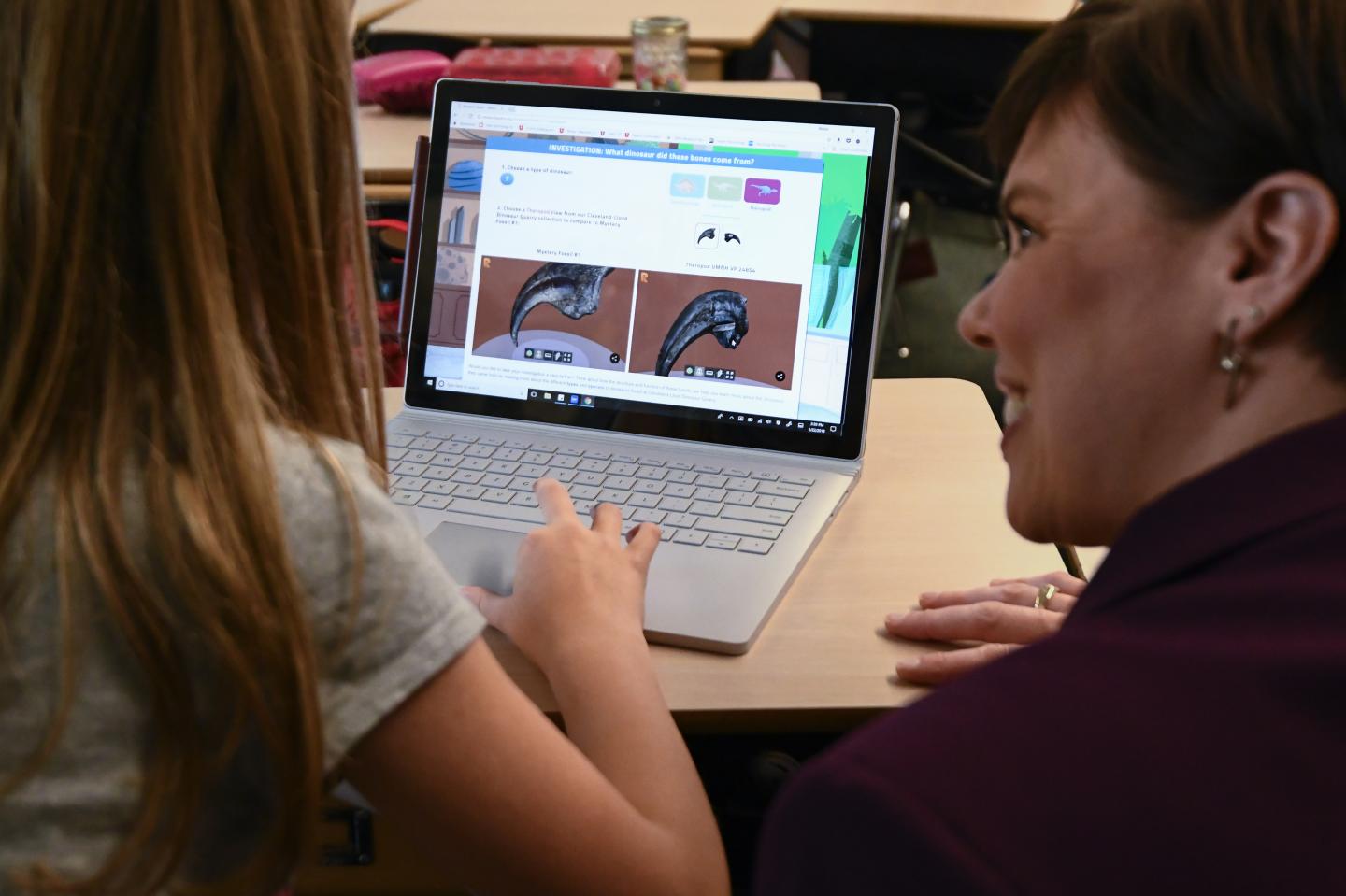 Working with Digitized Museum Collections