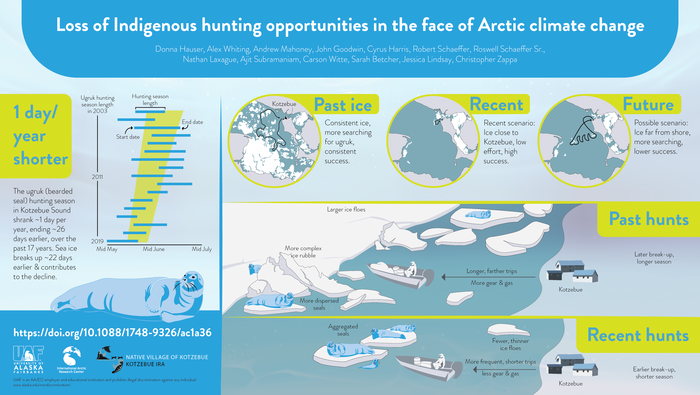 Seal hunting infographic