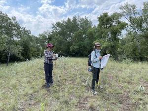 Pollinator survey in the forest-steppe with natural woodlot in the back