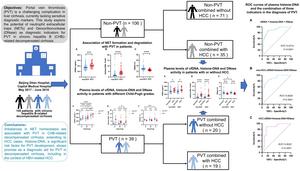 The Imbalance of Homeostasis in Neutrophil Extracellular Traps is Associated with Portal Vein Thrombosis in Patients with Decompensated Cirrhosis