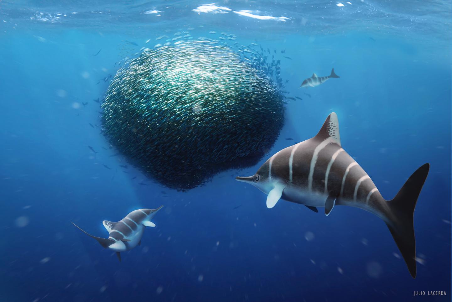 Artwork with 'Bait Ball' Ichthyosaur