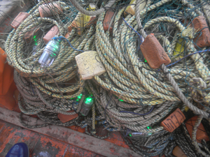 LED lights tested in drift gillnets in Peru