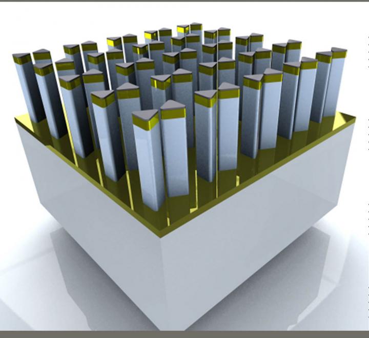 Toussaint Nanoantennas