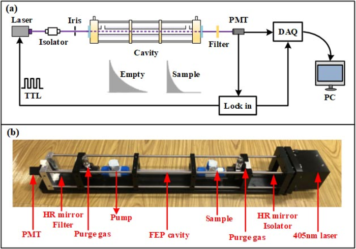 High Sensitive Detector Developed for Nitrogen Dioxide Detection