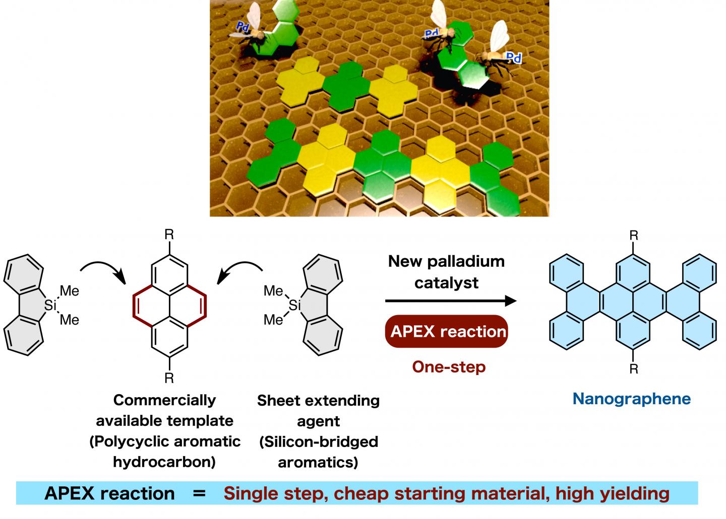 A Single-Step APEX Reaction to Synthesize Uniform Nanographenes