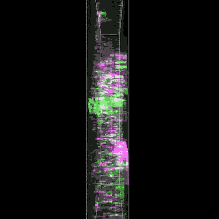 GIF of OPCs surrounded by neuron synapses