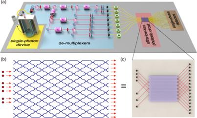 Setup of the Experiment