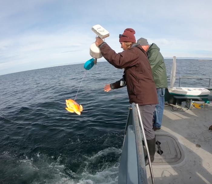 Fishing Pool [IMAGE]  EurekAlert! Science News Releases