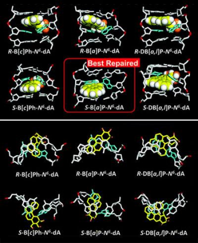 Certain DNA Lesions Are More Easily Repaired