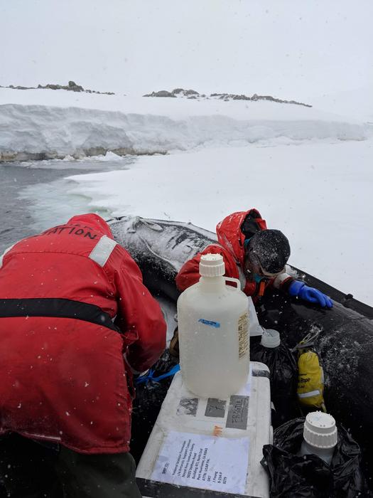 Sampling From Boat