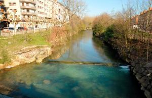 Oiartzun river, in the Basque Country