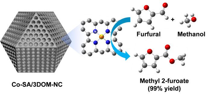 Co-SA/3DOM-NC catalysts