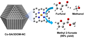 Co-SA/3DOM-NC catalysts