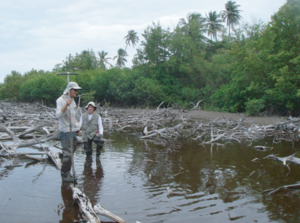 East Bajura mangrove pond