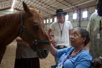 Equine Therapy (2 of 2)