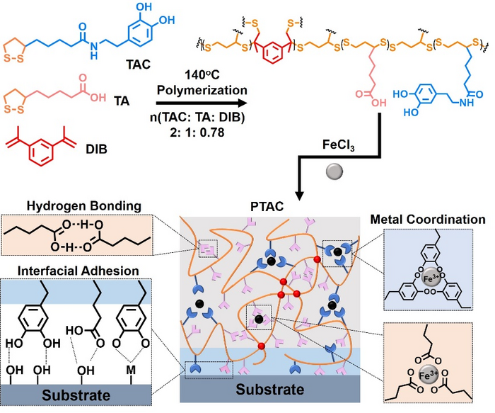 Schematic representation of synthesis routes and polymeric networks