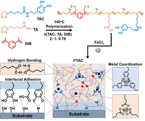 Schematic representation of synthesis routes and polymeric networks