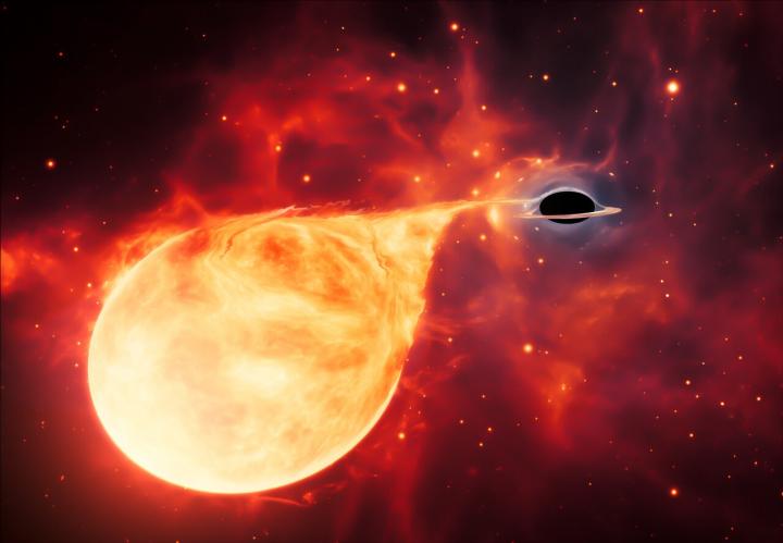 Intermediate-Mass Black Hole with Torn-Apart Star (Artist's Impression)
