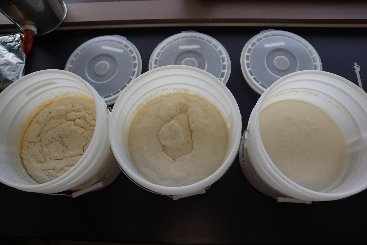 Milk Replacers used in the study