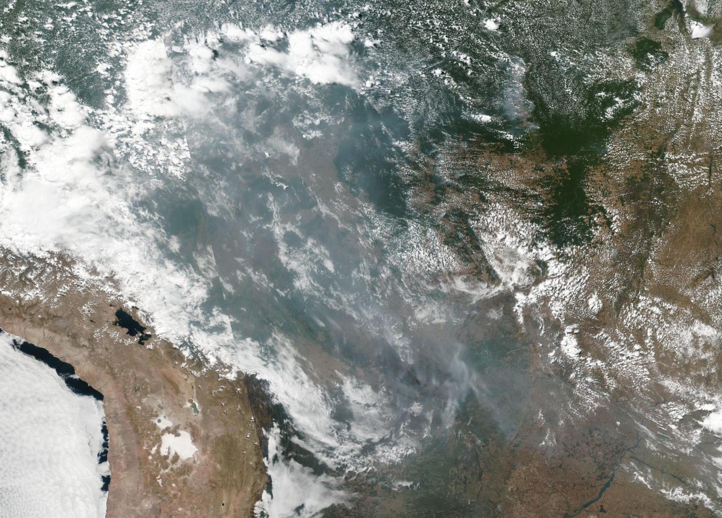 Amazonian Fires Continue Shrouding South America in Smoke