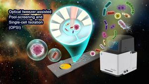 Versatile, facile and low-cost single-cell isolation, culture and sequencing by optical tweezer-assisted pool-screening