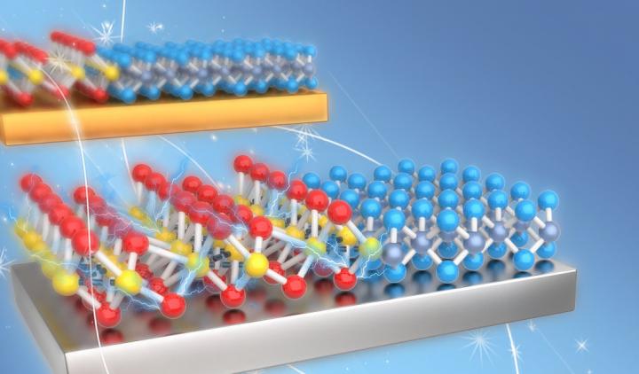 MoS2 and WSe2 on Metal Substrate