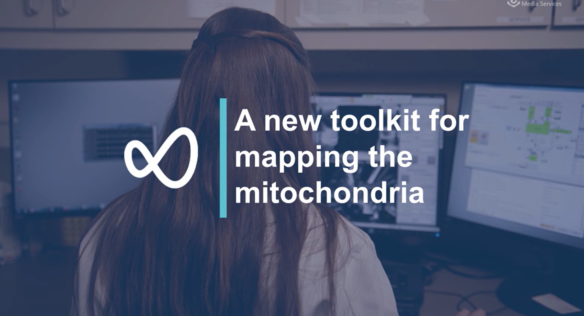 A new toolkit for mapping the mitochondria