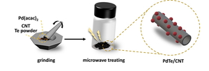 The schematic diagram of the surfactant-free microwave synthesis.