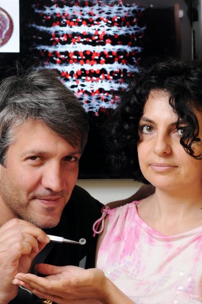Angelo Bongiorno and Elisa Riedo, Georgia Tech