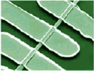 ZnO Nanowire Photodetector