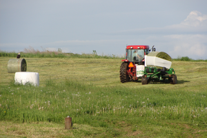 Eagle and dairy farm tractor