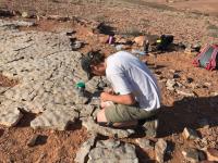 Researcher Unearthing Fossils