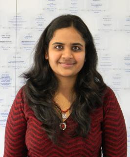 Saranshu Singla, University of Akron 