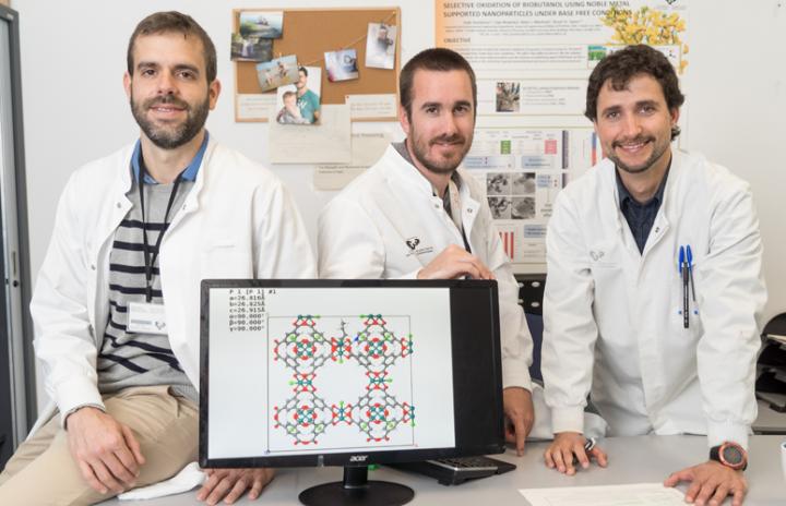 The Three Researchers of the UPV/EHU