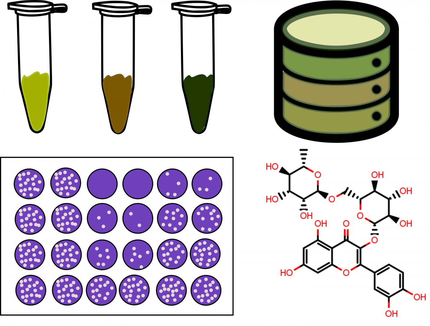 In Silico Examination of Feasible Humic Substances Structures Responsible for Antiviral Activity