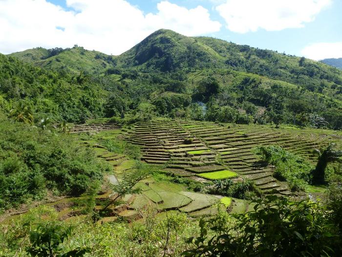 Typical mosaic landscape in north-eastern Madagascar