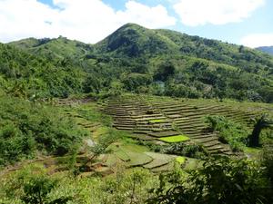 Typical mosaic landscape in north-eastern Madagascar