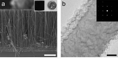 Silicon Nanowires (1 of 2)