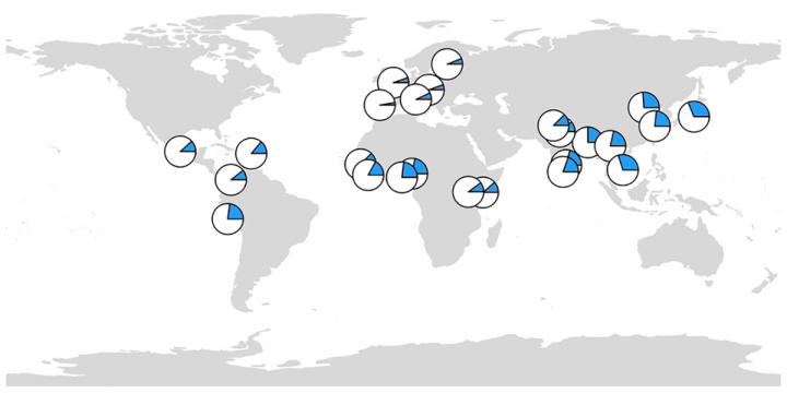 Filaggrin Loss of Function Worldwide