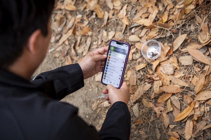 Community science platform iNaturalist