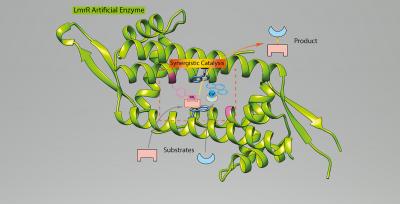 Illustration of the Artificial Enzyme