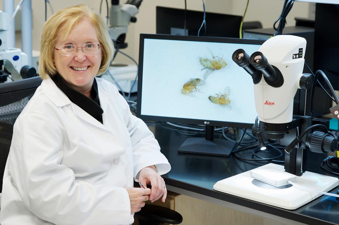 Trudy Mackay with Magnify Flies