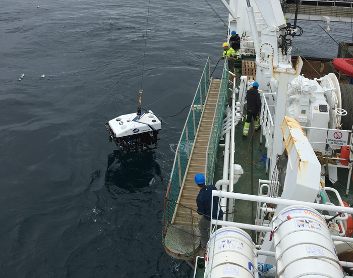 Substance in sediment