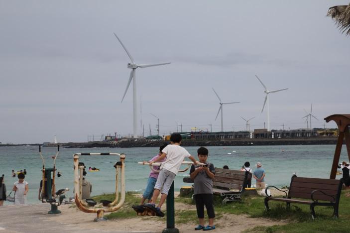 Wind Farm in Korea