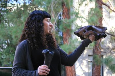 Julie Meachen, 	National Evolutionary Synthesis Center (NESCent) (2 of 2)