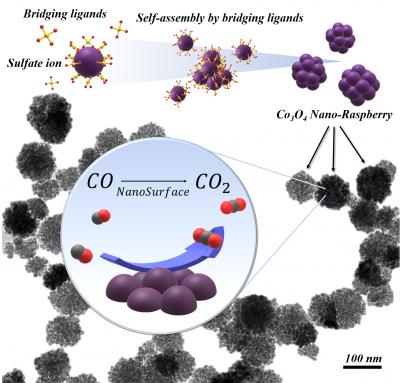 Schematic Illustration of the Strategy Used to Synthesize a Complex 3D Nanostructure