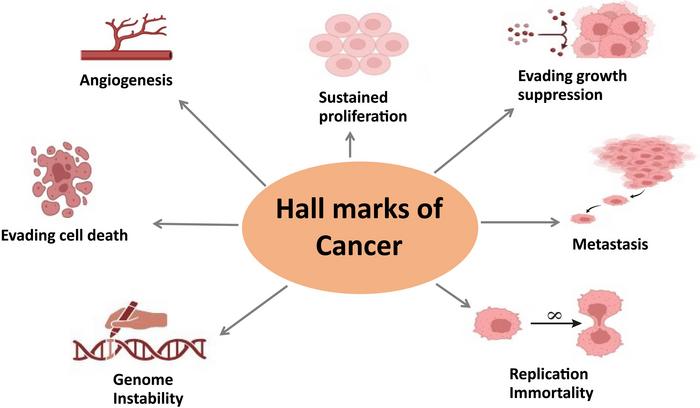 Seven cancer hallmarks