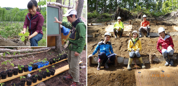 Reforestation activities after the 2018 Hokkaido Eastern Iburi Earthquake