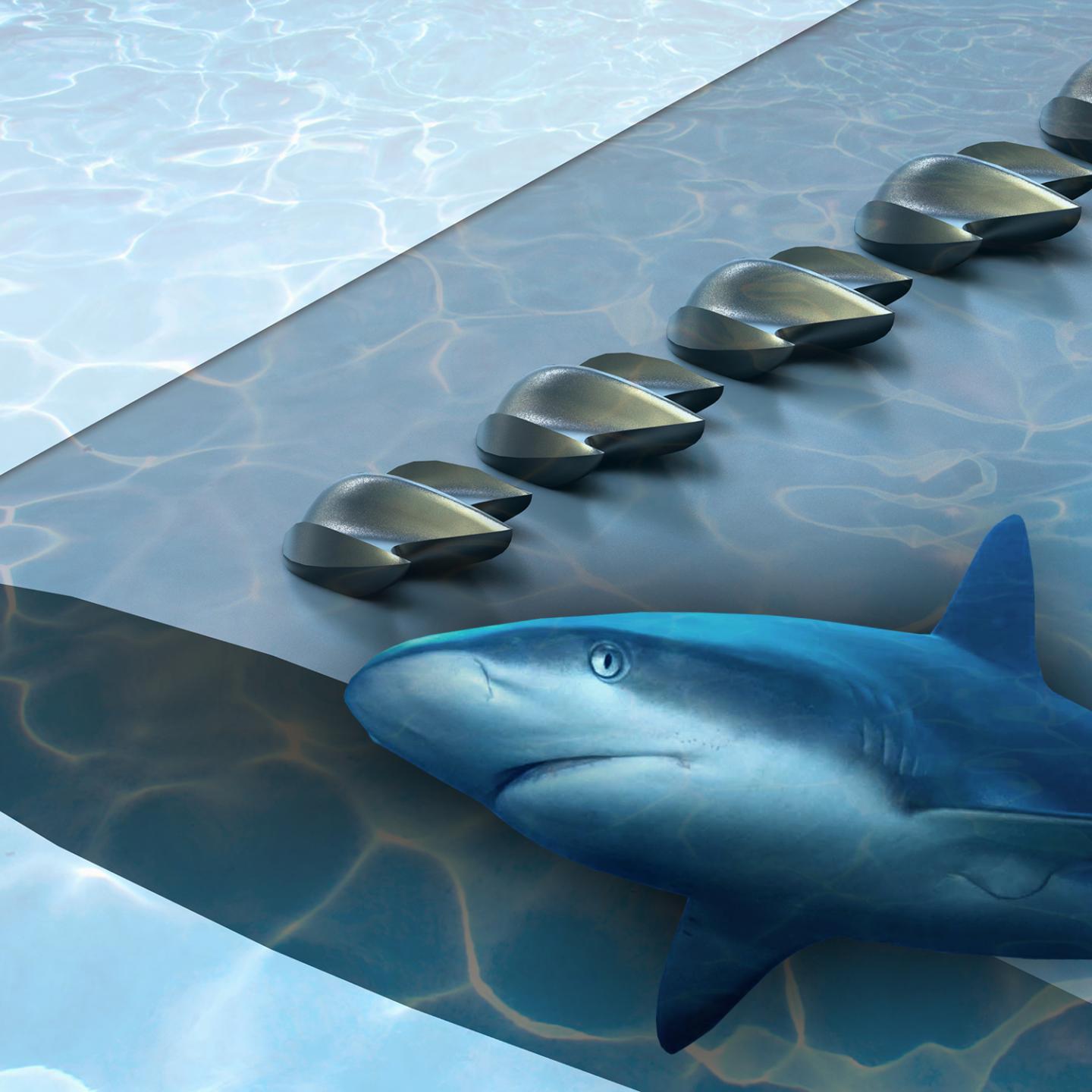 Illustration of Shark-Inspired Vortex Generator
